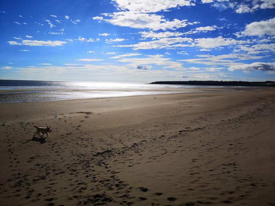 Scottish Countryside Bothy Holiday home Arbroath